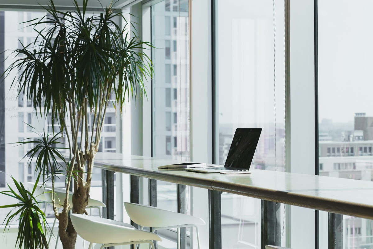Lyst kontor med laptop og grønn plante